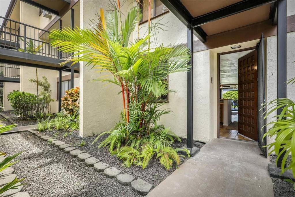 Beautiful 2/2 Condo In Kailua Kona. Ocean View! Dış mekan fotoğraf