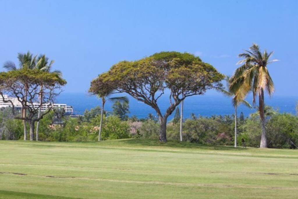 Beautiful 2/2 Condo In Kailua Kona. Ocean View! Dış mekan fotoğraf